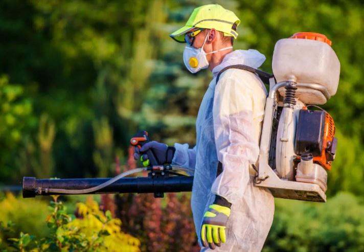 Tallahassee Pest Control Emerges as the Go-To Solution for Pest Management Needs